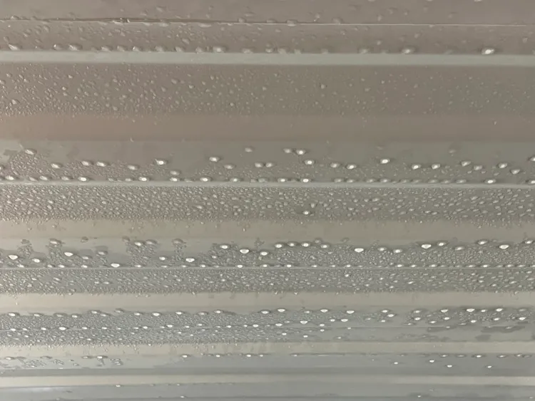 container-rain-sweating-container-shipping-container
kontejnerový-déšť-pocení-kontejneru-lodní-kontejner